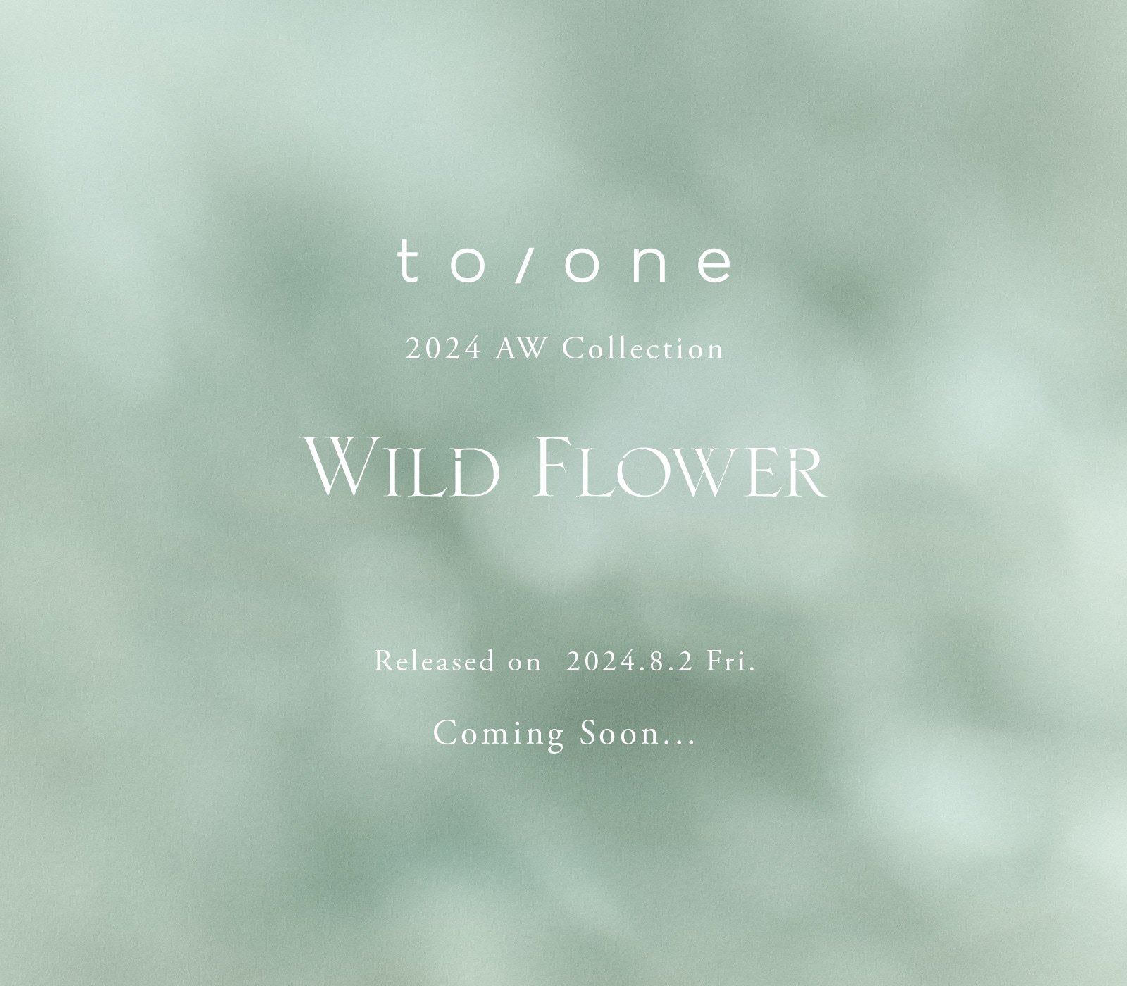 to/one 2024 AW Collection