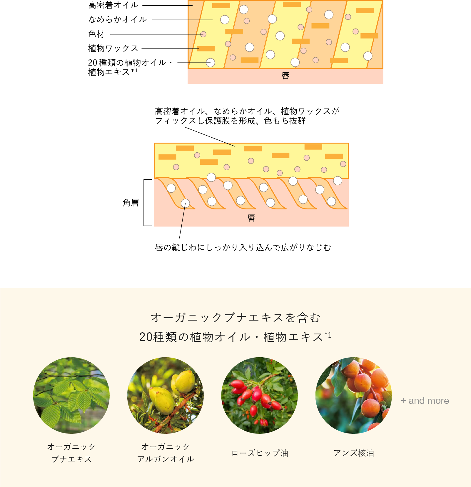 ボタニカルパワードマグネティック処方