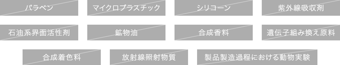 開発基準をクリアした 11のフリー項目の画像