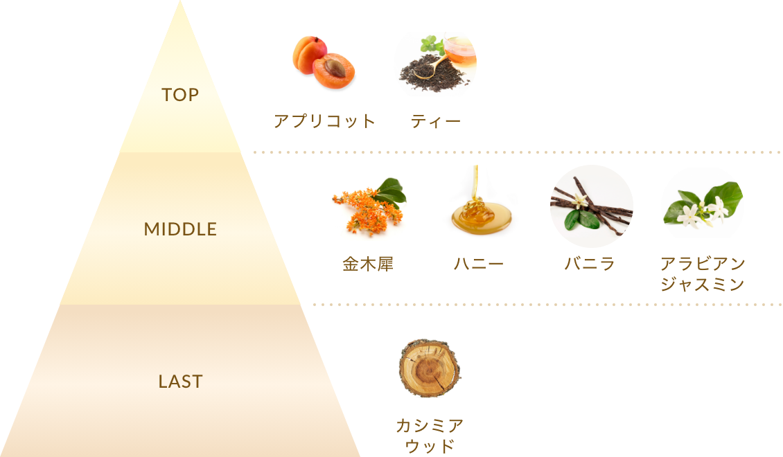 秋の訪れを楽しむ金木犀の上品な香りで至福のスキンケアを